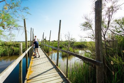 Sentier de découverte de la Marette - Maison du Grand Site de France Camargue Gardoise