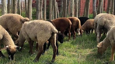 PLATEAU DES MÈGERIES