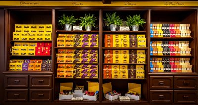 Maison Toussaint Beaune - dégustation