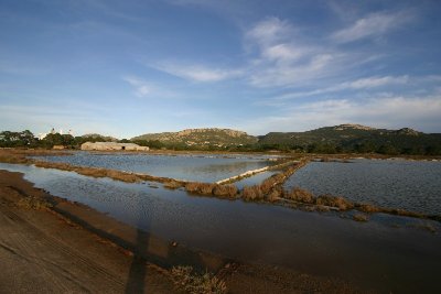 6 - Prairie & Zones humides