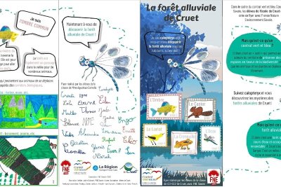 Sentier des libellules