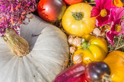 Visite de la maison Kokopelli