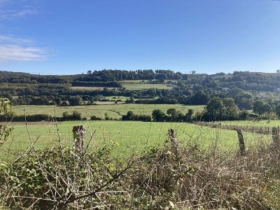 Entre Caux et Bray