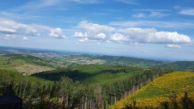 À la découverte des paysages viticoles : de Tramayes à Mâcon