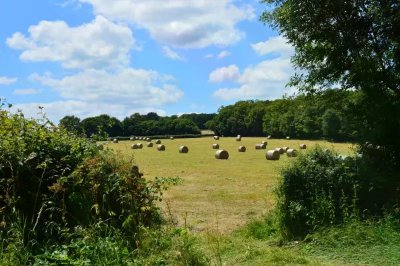 Circuit de la Croix Cavalier