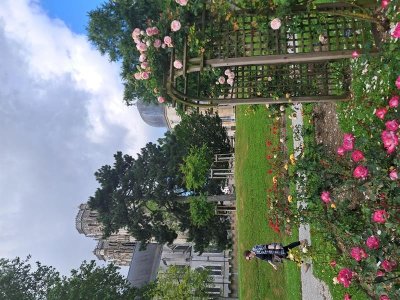 Roseraie André Legrand