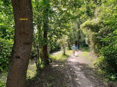 Randonnée de la rivière aux coteaux du Val de Choisille