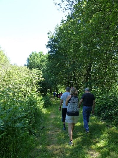 Le lac du Val Joyeux
