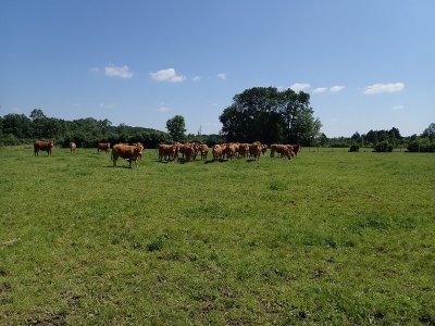 Randonnée du bocage de Bois Chétif