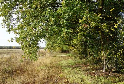 Randonnée de Ferrière-Larçon, à l'éperon barré de Murat.