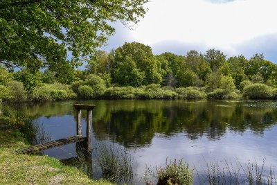 Boucle 11 - La Canne