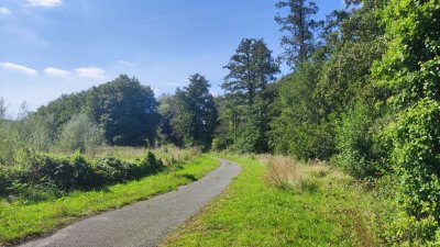 La vallée des miroirs