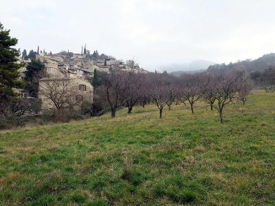 Verger du Charreyron