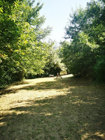 Parc de la mairie
