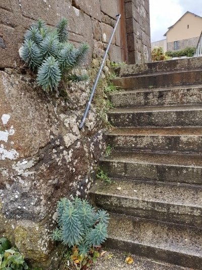 Exposition "Clichés de scènes" par Francis Vernhet