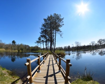 Etang de la Glacière