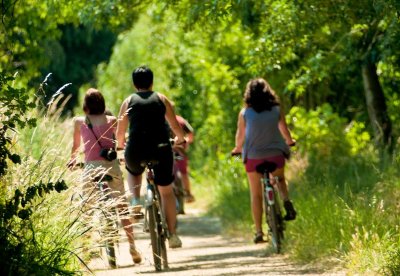 Boucle n°1 : Loir et vergers