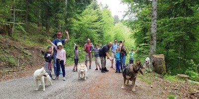 Cani-Rando en famille