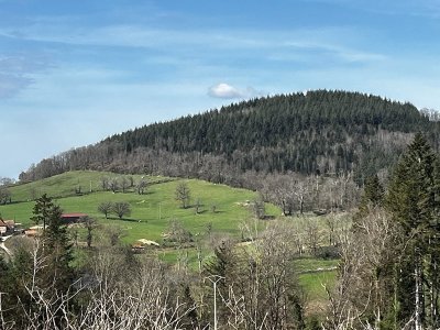 Balade Verte - Le tour des collines (B3)