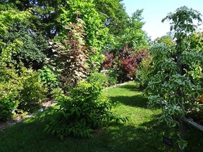 Jardin du Grand Charme