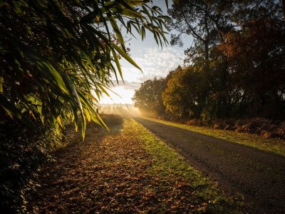 De Luë à Labouheyre