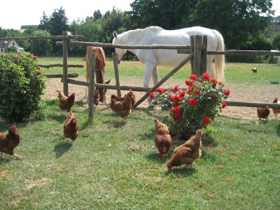 "La Ferme au Colombier" monument historique