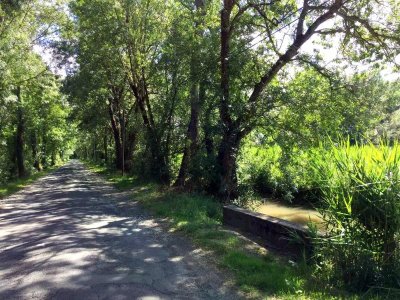 Circuit VTT N°10 - Semussac