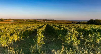 Circuit VTT N°11 - Arces