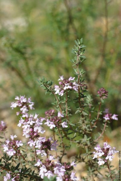 MAISON DU GRAND SITE PONT DU DIABLE