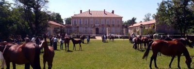 Haras d'Olympe