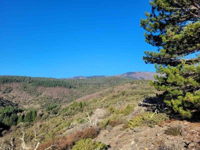 RANDONNÉE LE NID D'AIGLE