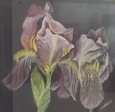 Concert - Échappée Musicale