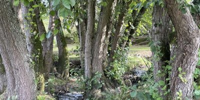 Serles - Chavannes - Le Croux