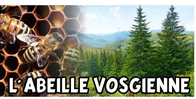 Géocaching à la découverte du patrimoine