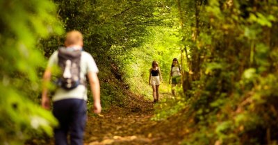 GR365-ETAPE2 - SAINT-PIERRE-SUR-ORTHE - SAINTE GEMMES LE ROBERT