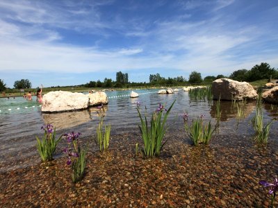 Baignade naturelle du Grand Chambord