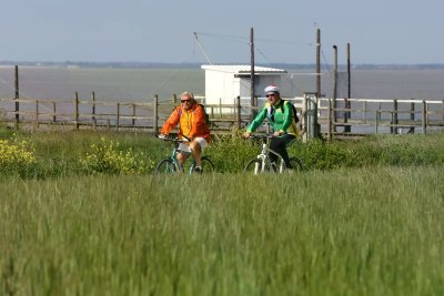 Boucle VTC - La Boucle de Meschers-sur-Gironde