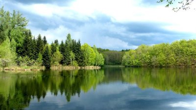 Les Vosges du Sud en rando