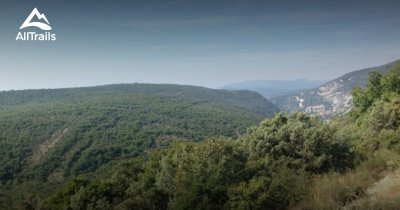 Au loin, les forêts