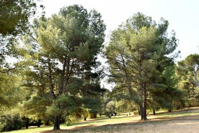 Parc de la Colline Saint-Joseph