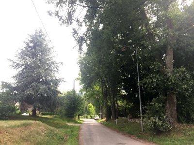 Allée des Chênes