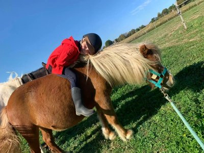 Centre équestre Glaris