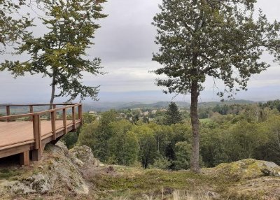 Sylvetum du Bois des Gaulois