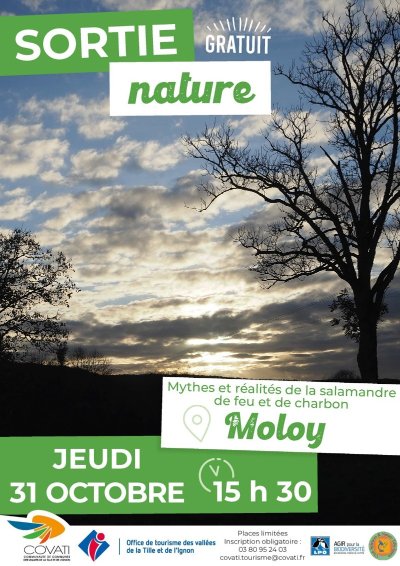 Verger conservatoire de Moloy