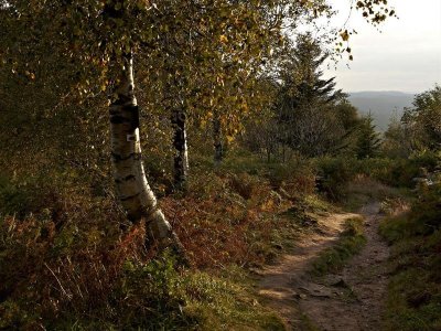 Circuit poussettes D02 : Le tour des minières