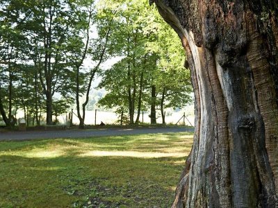 Circuit poussettes C08 : Promenade au parc d'Albay
