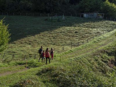Circuit poussettes B04 : Parc et Sentier botanique à Urmatt