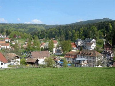 Circuit poussettes CDF02 : Autour du Hohwald