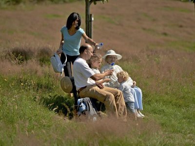 Circuit poussettes H04 : Le parc de Saales