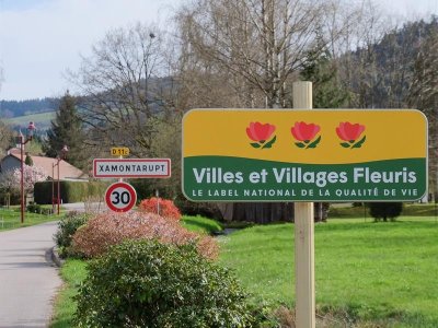 Parcours ludique - La balade de Têt'hattards